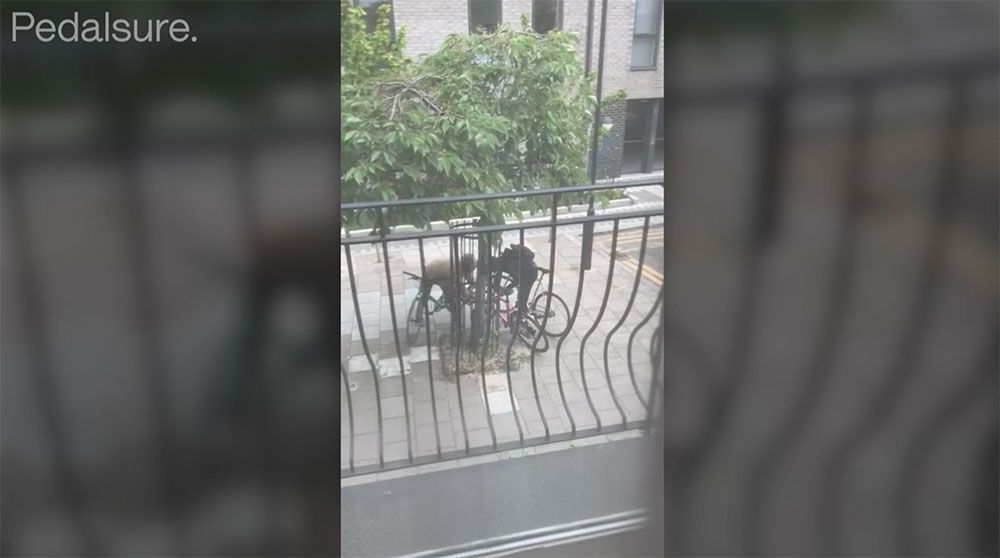 Bike thieves steal bike in broad daylight in London