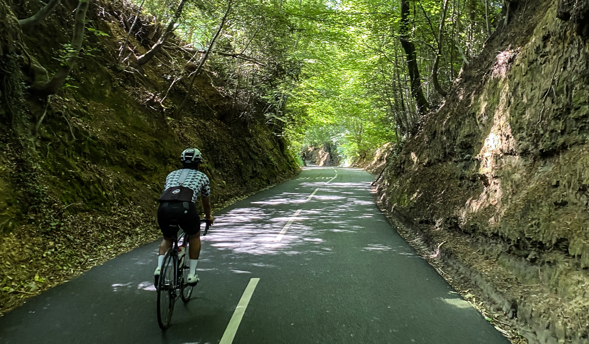 Cyclist riding in the forest