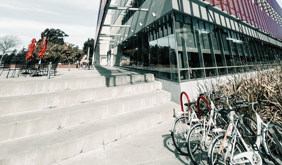 bikes locked outside school