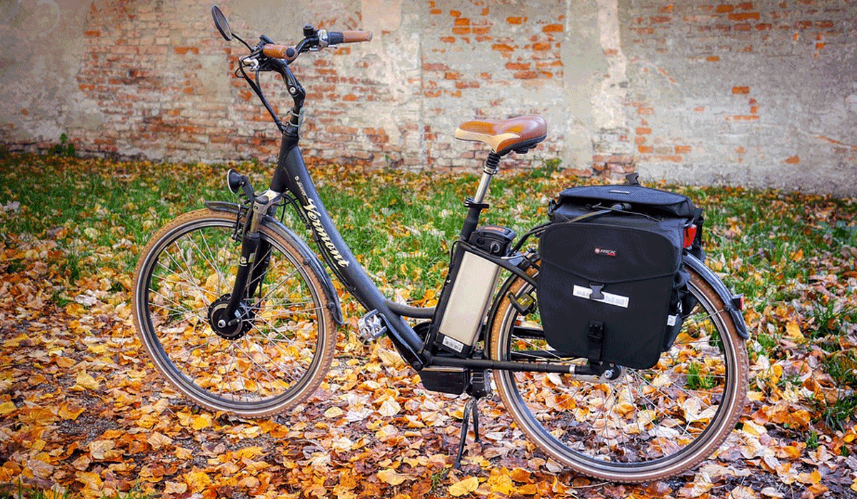 e-bike on leaves