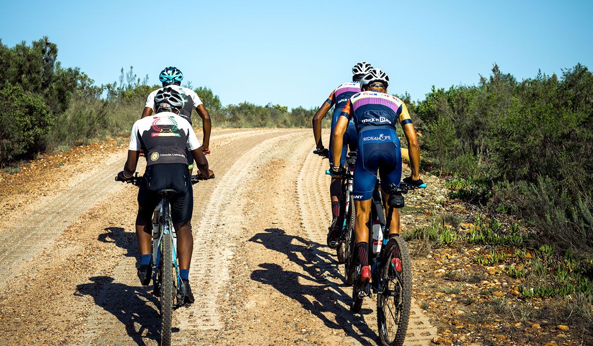 Four men riding mountain bikes