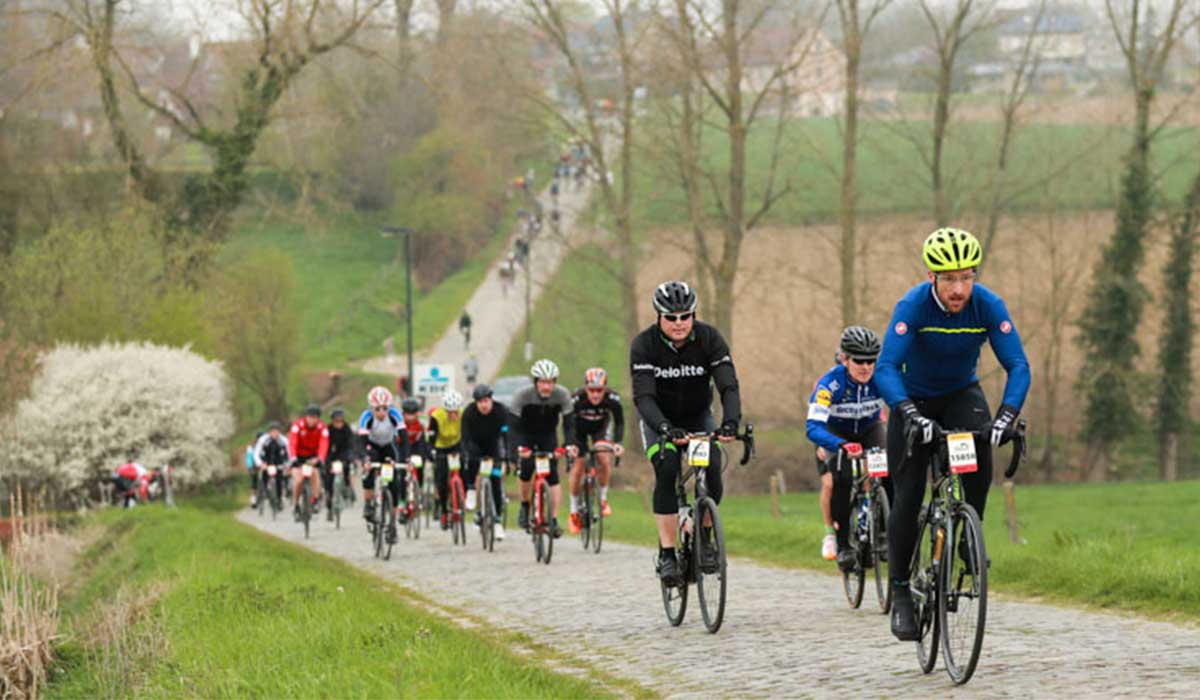 Cyclists in Flanders