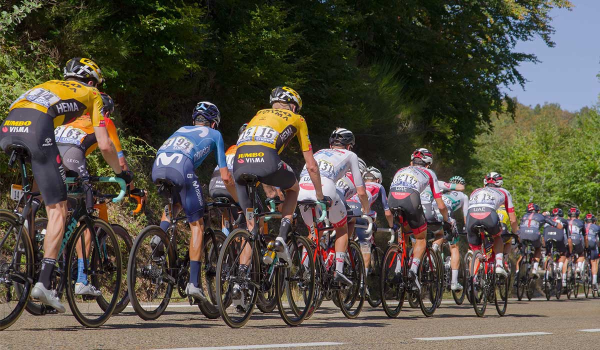 Tour de France peloton