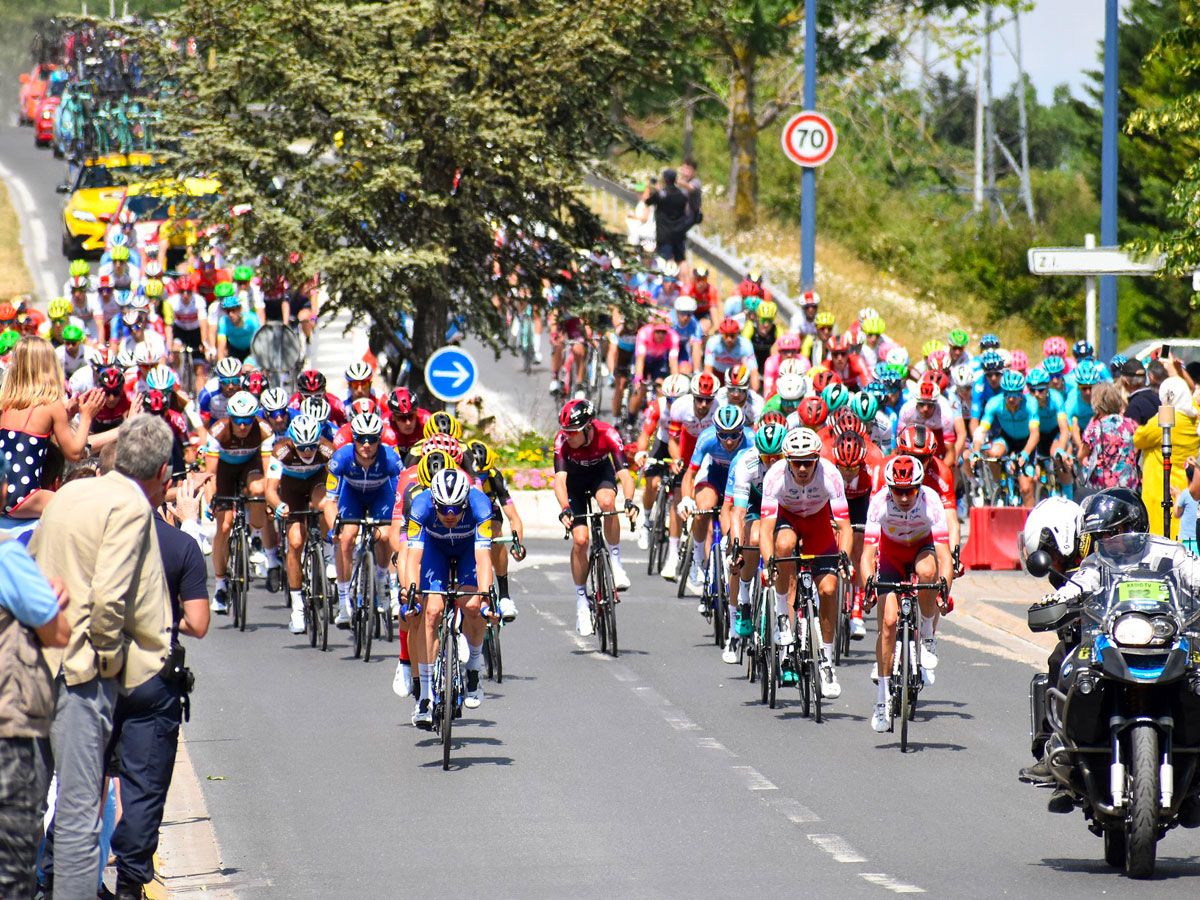 The peloton at the Tour de France