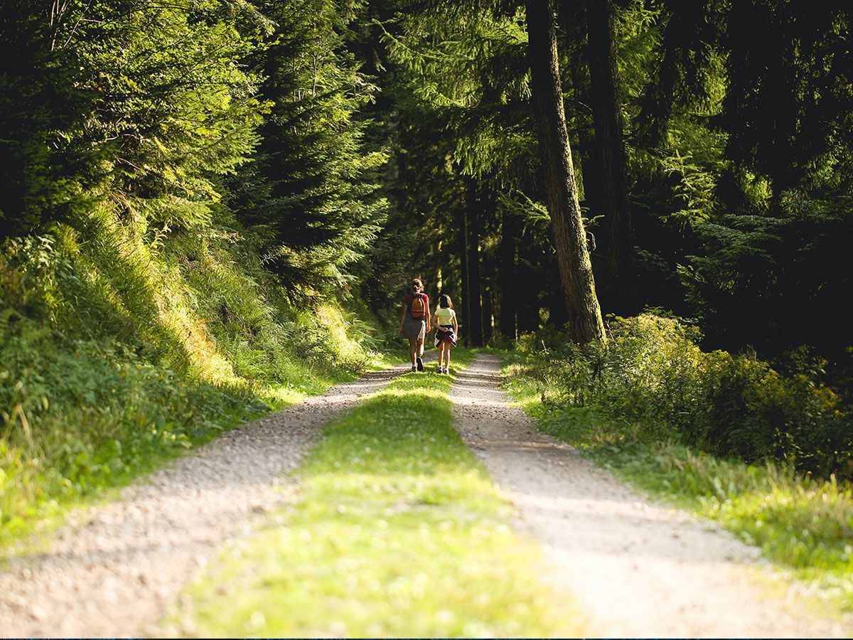 A couple walking in nature