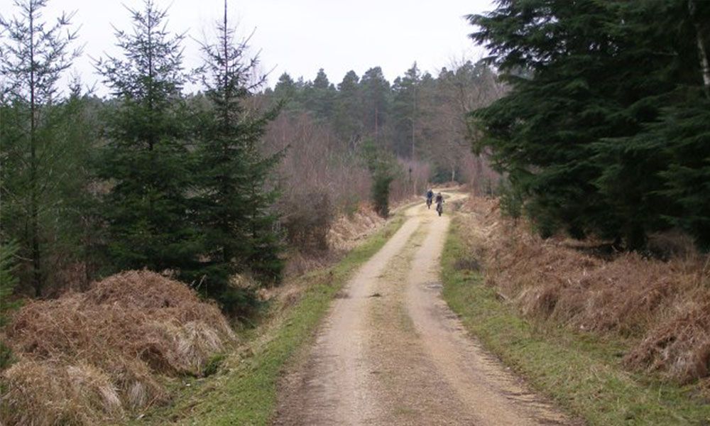 New forest gravel cycling