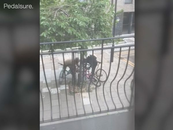 Bike Thieves Are More Brazen Than Ever And Here’s The Evidence